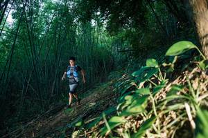 BIB: 
                            <button type="button" onclick="openModal(28123497)" class="btn btn-primary btn-sm float-right btn-popup" data-toggle="modal" data-target=".modal-high-quality">
                        <i class="fas fa-shopping-cart"></i> Add to Cart
                    </button>
                                            <button type="button" onclick="isThisMe(28123497, true)" class="btn btn-success btn-sm float-right btn-popup btn-isme hidden" data-toggle="tooltip" data-placement="bottom" title="นี่คือรูปของคุณใช่ไหม คลิกที่นี่เพื่อเอาเข้าอัลบั้ม">
                        <i class="fas fa-plus"></i> Add to album
                    </button>
                    <button type="button" onclick="isThisMe(28123497, false)" class="btn btn-warning btn-sm float-right btn-popup btn-isnotme hidden">
                        <i class="fas fa-ban"></i> Remove from album
                    </button>